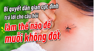 Bí quyết dân gian trả lời cho câu hỏi làm thế nào để muỗi không đốt