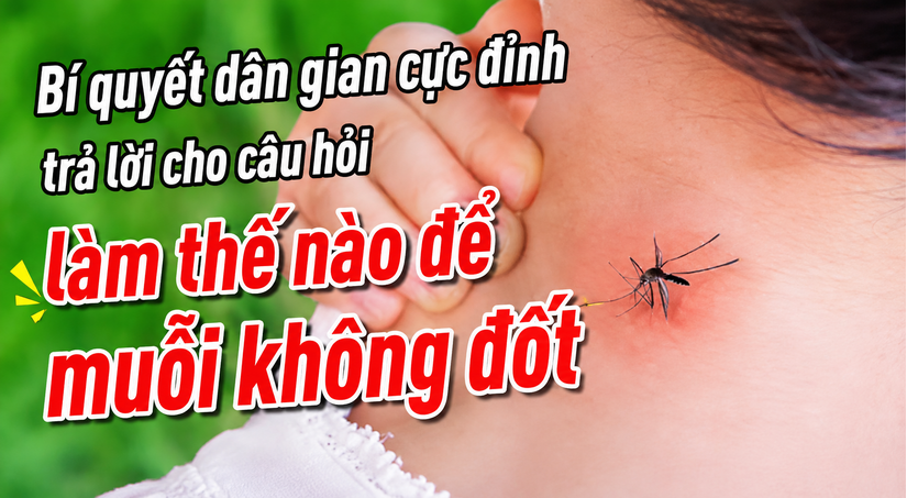 Bí quyết dân gian trả lời cho câu hỏi làm thế nào để muỗi không đốt