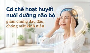 Cơ chế hoạt huyết nuôi dưỡng não bộ, giảm chứng đau đầu, chóng mặt