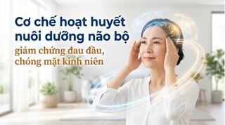 Cơ chế hoạt huyết nuôi dưỡng não bộ, giảm chứng đau đầu, chóng mặt