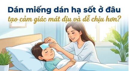 Dán miếng dán hạ sốt ở đâu tạo cảm giác mát dịu và dễ chịu hơn?