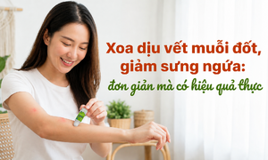 Xoa dịu vết muỗi đốt, giảm sưng ngứa: đơn giản mà có hiệu quả thực