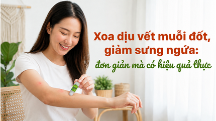 Xoa dịu vết muỗi đốt, giảm sưng ngứa: đơn giản mà có hiệu quả thực