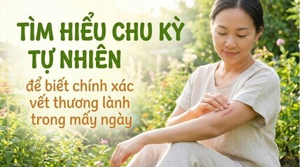 Tìm hiểu chu kỳ để biết chính xác vết thương lành trong mấy ngày