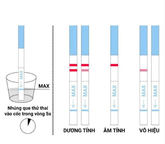 Những yếu tố khiến que thử thai kết quả dương tính, giả âm tính giả