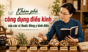 Khám phá công dụng điều kinh của các vị thuốc Đông y kinh điển