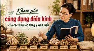 Khám phá công dụng điều kinh của các vị thuốc Đông y kinh điển