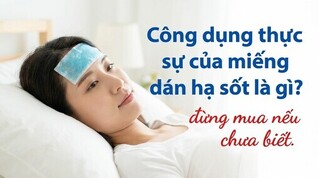 Công dụng thực sự của miếng dán hạ sốt là gì? đừng mua nếu chưa biết