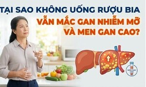 Tại sao không uống rượu bia vẫn mắc gan nhiễm mỡ và men gan cao?