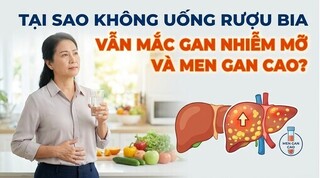 Tại sao không uống rượu bia vẫn mắc gan nhiễm mỡ và men gan cao?