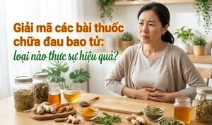 Giải mã các bài thuốc chữa đau bao tử: loại nào thực sự hiệu quả?