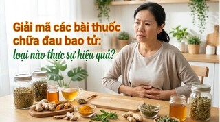 Giải mã các bài thuốc chữa đau bao tử: loại nào thực sự hiệu quả?