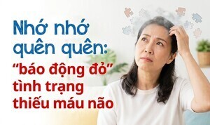Nhớ nhớ quên quên: 