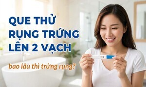 Que thử rụng trứng lên 2 vạch bao lâu thì trứng rụng?