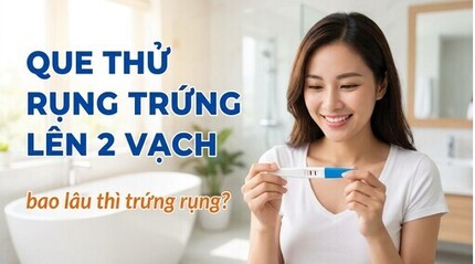 Que thử rụng trứng lên 2 vạch bao lâu thì trứng rụng?