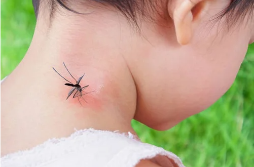 Hướng dẫn cách chọn lăn muỗi phù hợp cho trẻ nhỏ