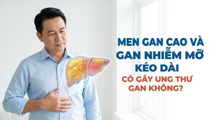 Men gan cao và gan nhiễm mỡ kéo dài có gây ung thư gan không?