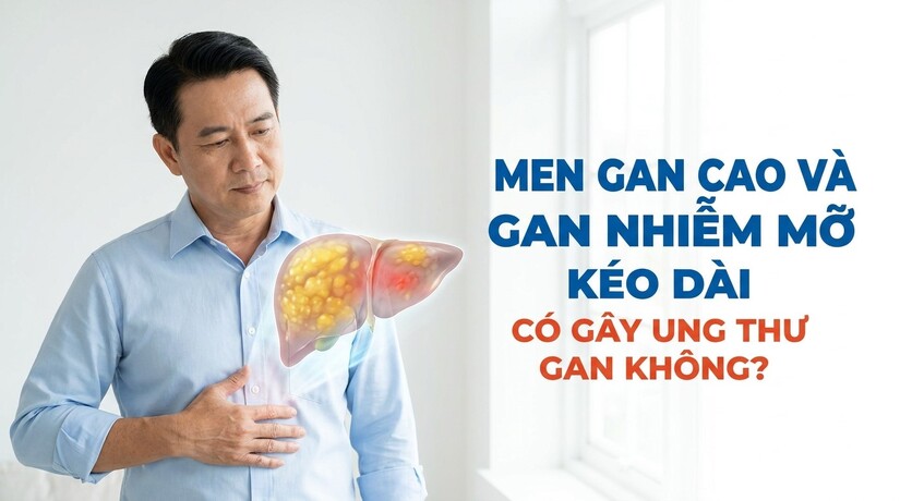 Men gan cao và gan nhiễm mỡ kéo dài có gây ung thư gan không?