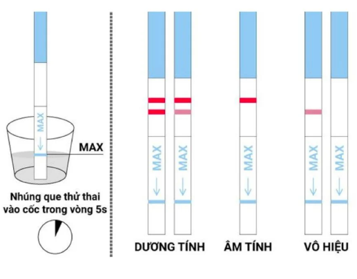 Thử thai lúc nào chuẩn nhất? bỏ qua mốc này xem như mất công