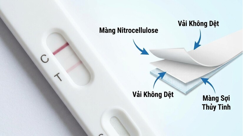 Thử thai lúc nào chuẩn nhất? bỏ qua mốc này xem như mất công