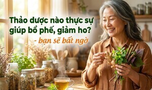 Thảo dược nào thực sự giúp bổ phế, giảm ho? - bạn sẽ bất ngờ