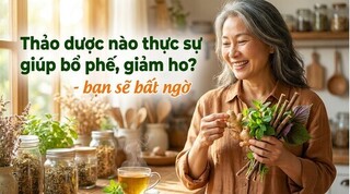 Thảo dược nào thực sự giúp bổ phế, giảm ho? - bạn sẽ bất ngờ