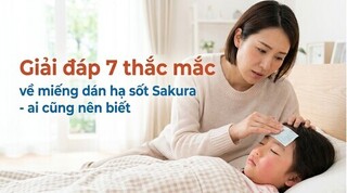 Giải đáp 7 thắc mắc về miếng dán hạ sốt Sakura - ai cũng nên biết