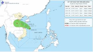 Tin áp thấp mới nhất, áp thấp cách Hoàng Sa 150km, sẽ duy trì cường độ áp thấp trong nhiều ngày tới