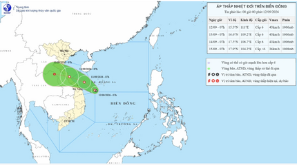 Tin áp thấp mới nhất, áp thấp cách Hoàng Sa 150km, sẽ duy trì cường độ áp thấp trong nhiều ngày tới