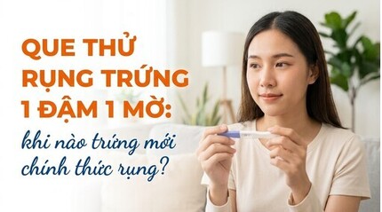 Que thử rụng trứng 1 đậm 1 mờ: khi nào trứng mới chính thức rụng?