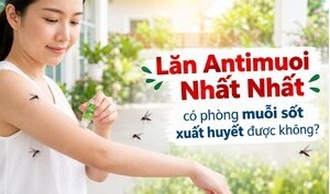 Lăn Antimuoi Nhất Nhất: có phòng muỗi sốt xuất huyết được không?