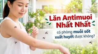 Lăn Antimuoi Nhất Nhất: có phòng muỗi sốt xuất huyết được không?