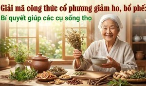 Giải mã công thức cổ phương giảm ho, bổ phế: bí quyết giúp sống thọ