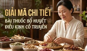 Giải mã chi tiết bài thuốc bổ huyết điều kinh cổ truyền