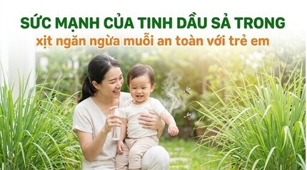 Sức mạnh của tinh dầu sả trong xịt ngăn ngừa muỗi an toàn với trẻ em