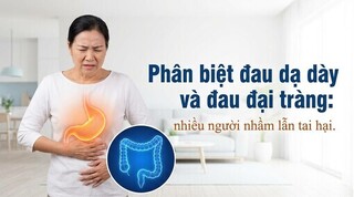 Phân biệt đau dạ dày và đau đại tràng: nhiều người nhầm lẫn tai hại
