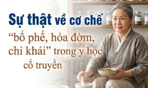 Sự thật về cơ chế 