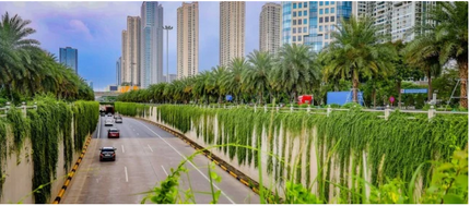Hà Nội thí điểm trồng cây phủ xanh trụ cầu, hầm chui, nhà chờ xe buýt