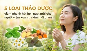 5 loại thảo dược giảm nhanh hắt hơi, ngạt mũi cho người viêm xoang