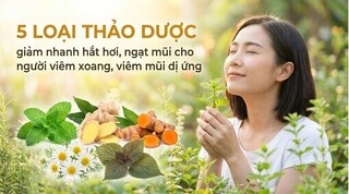 5 loại thảo dược giảm nhanh hắt hơi, ngạt mũi cho người viêm xoang
