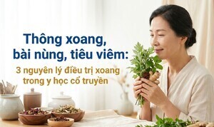 Thông xoang, bài nùng, tiêu viêm: 3 nguyên lý điều trị xoang