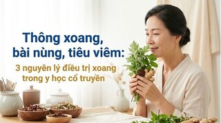 Thông xoang, bài nùng, tiêu viêm: 3 nguyên lý điều trị xoang