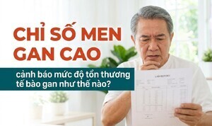Chỉ số men gan cao cảnh báo mức độ tổn thương tế bào gan như thế nào?