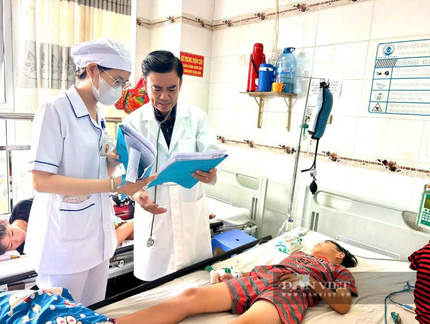 An Giang ghi nhận ca tử vong đầu tiên vì sốt xuất huyết, số ca mắc vượt 7.300