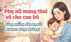 Phụ nữ mang thai, cho con bú dùng miếng dán hạ sốt sakura được không