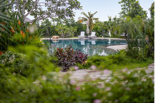 Retreat Forest của Ecopark được vinh danh tại PropertyGuru 2026