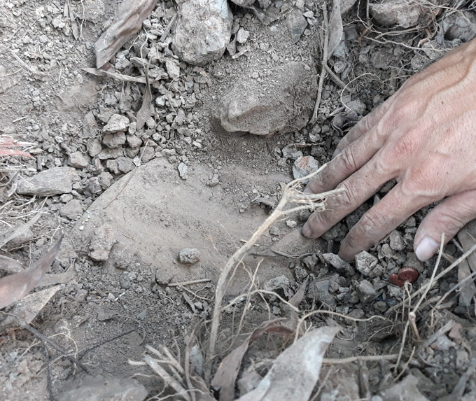 Vụ nhà máy rác chôn cất xác thai nhi: Thành lập tổ kiểm tra mẫu vật