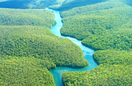 Sông Amazon cùng các phụ lưu của mình tiêu biểu bởi khu rừng rộng vào mỗi mùa mưa đều ngập trong biển nước.