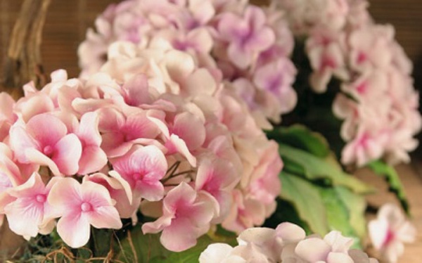 Cách làm hoa đất sét cho thành phẩm đẹp như hoa cẩm tú cầu thật