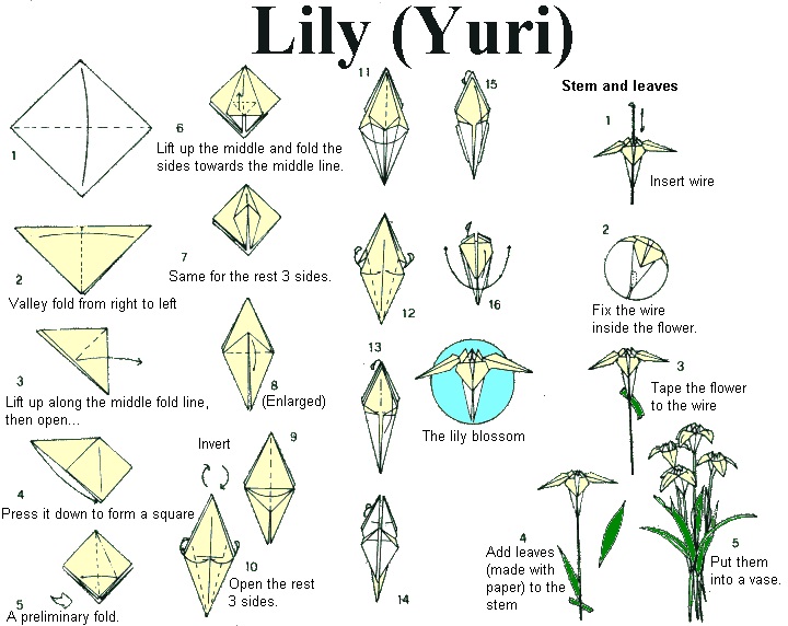 Cách làm hoa giấy đẹp sẽ cho thành phẩm là bình hoa ly dễ thương